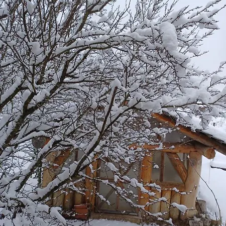 Mokus Kulcsoshaz Holiday home